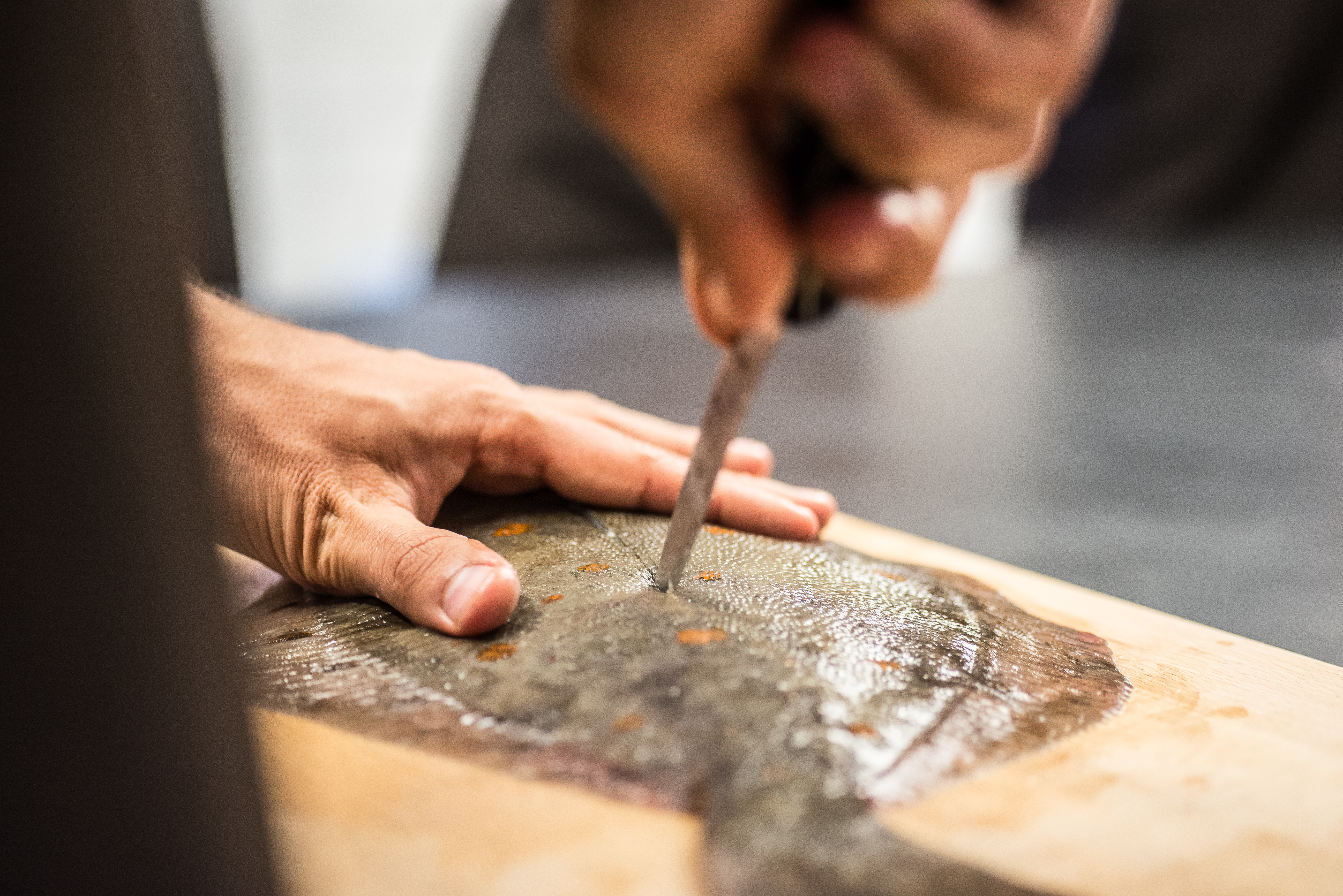 Fiskekursus hos Meyers