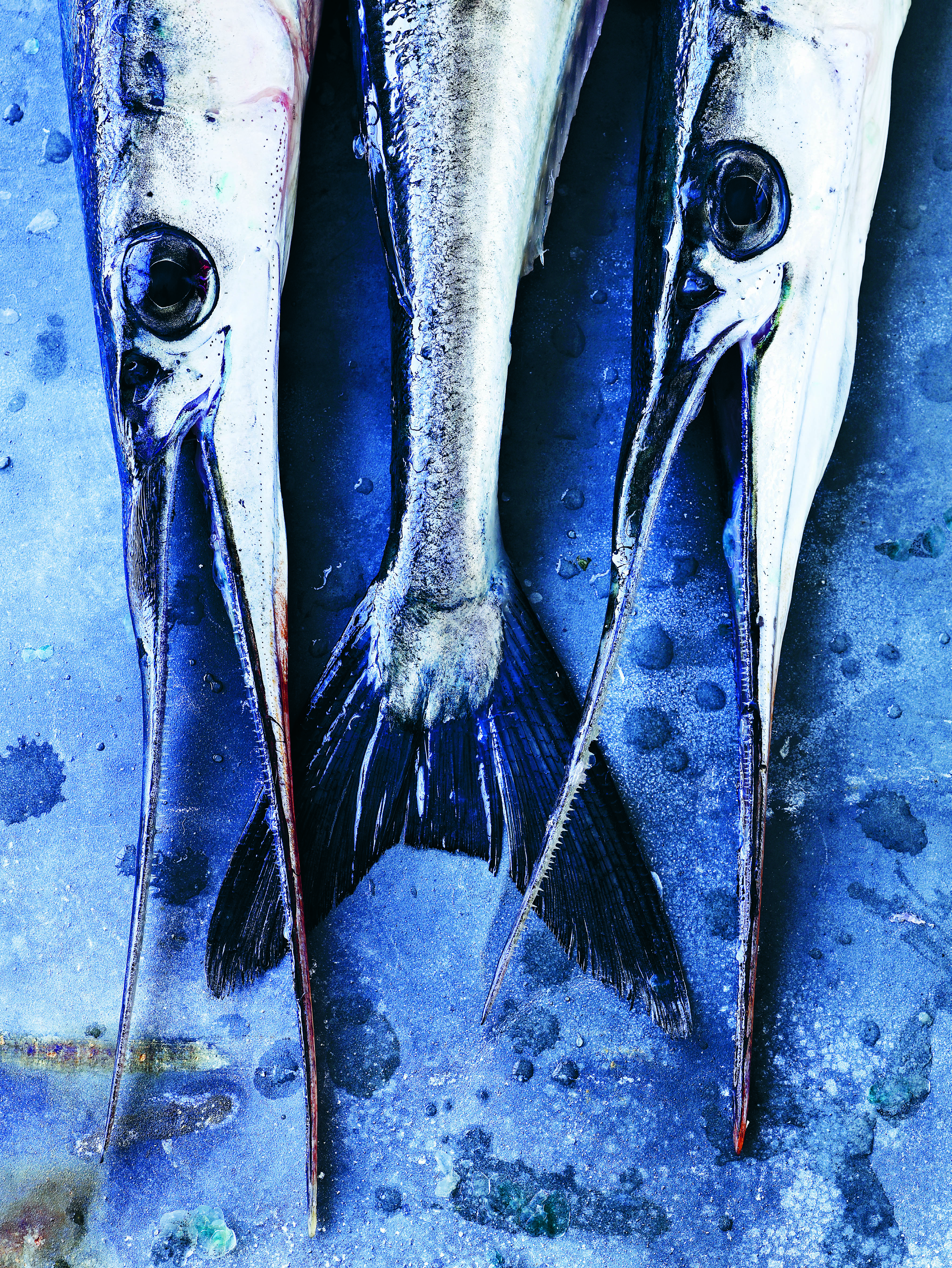 Kundeservice presse hornfisk