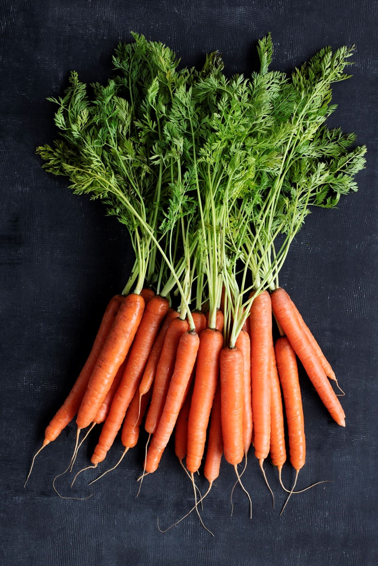 smertestillende medicin Nat Refinement Bagte og sprøde gulerødder med gulerodspuré | Opskrift