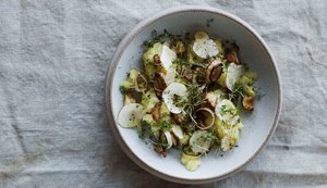 Vegetarisk brændende kærlighed