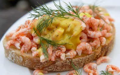 Rejemad med mayo og dild