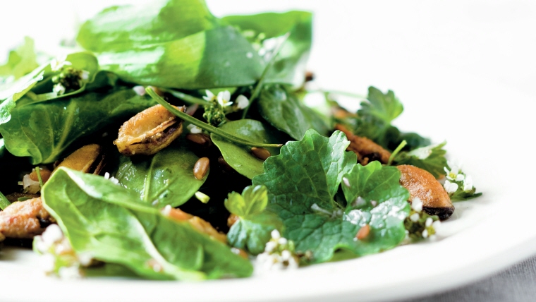 Opskrift på salat af muslinger