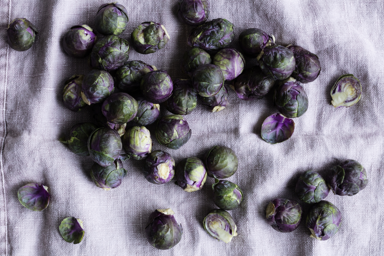 Mad for livet med Meyers