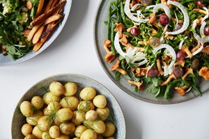 Livretter 2020 salater